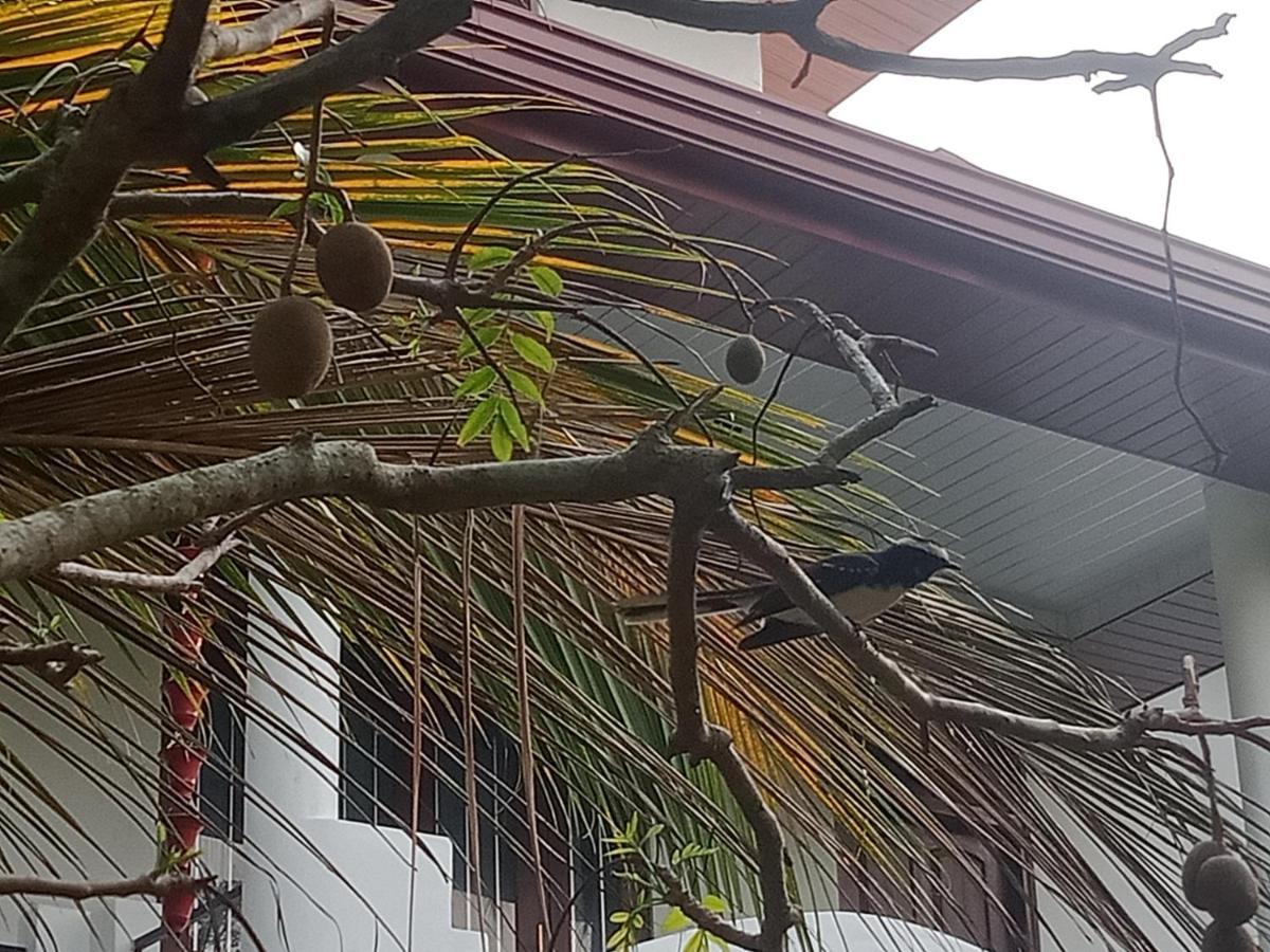 Silence Paradise Tangalle Exterior photo